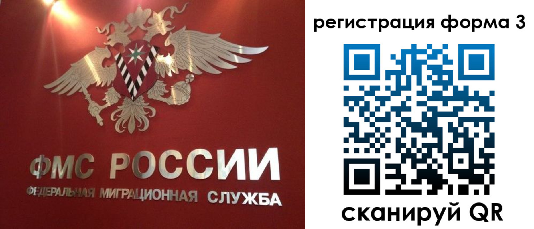 прописка гарантия в Светлограде